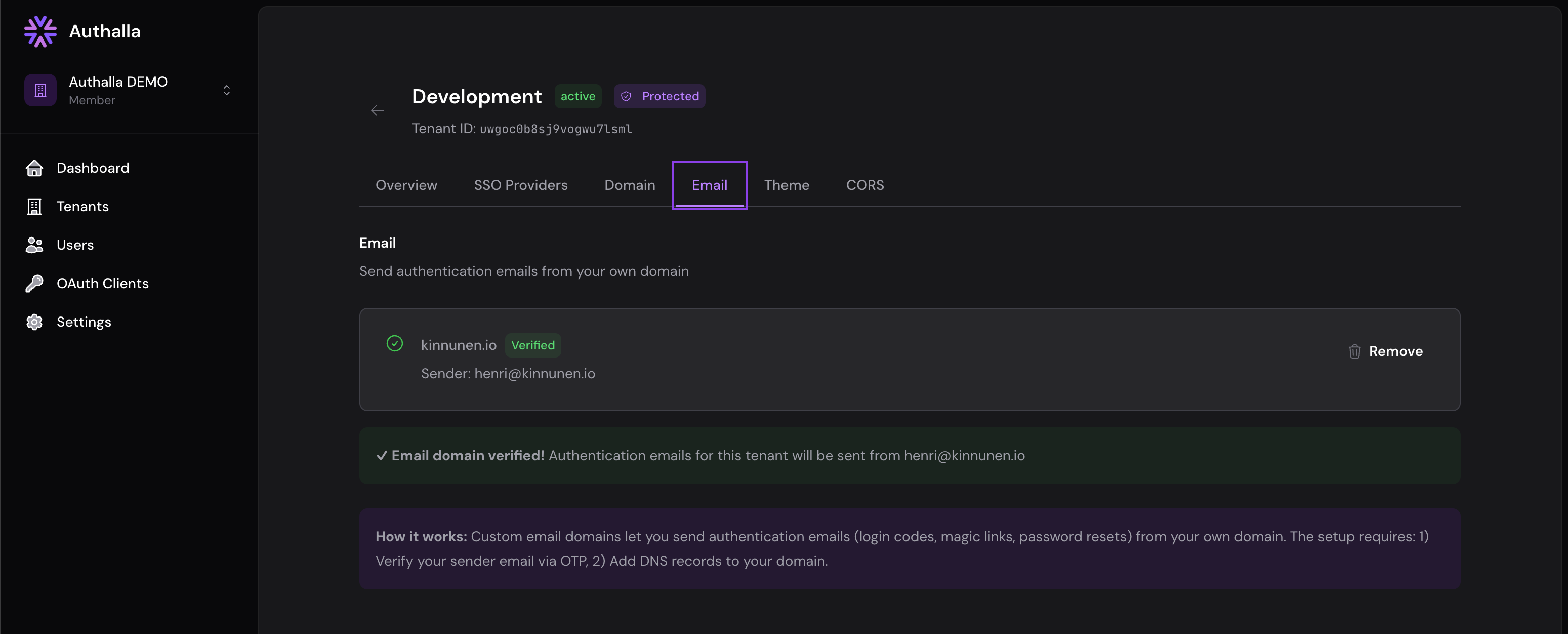 Custom Email Domains
